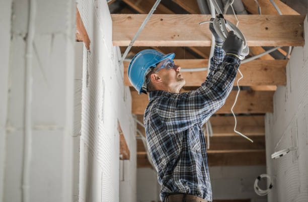 Best Electrician for Home Renovation  in New Holstein, WI