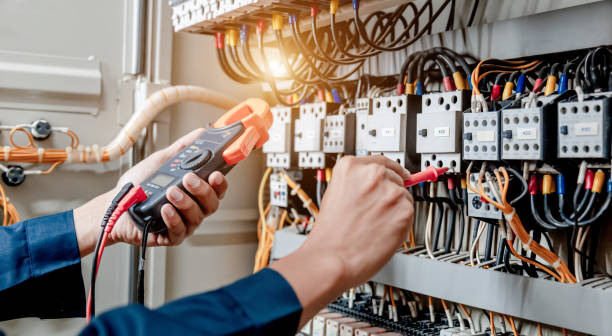 Best Electric Panel Repair  in New Holstein, WI